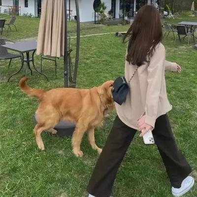 圣诞有情人